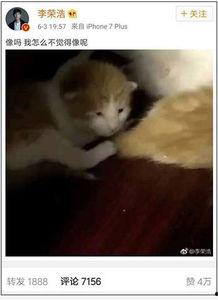 娱乐吃瓜酱小动物视频大全,趣味十足！小动物吃瓜视频大盘点