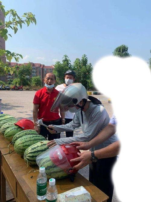 韩城西庄吃瓜事件视频,一场引发热议的街头冲突