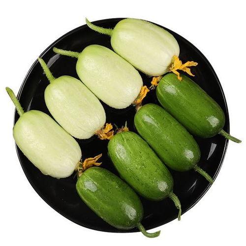 棱瓜太熟好吃吗怎么吃视频,多样吃法解锁营养美味